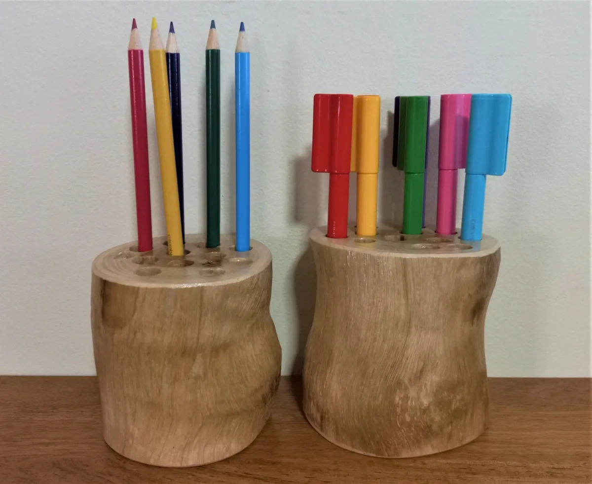 Branch Pencil Holder TTG Early Learning Supplies