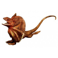 Large Frilled Lizard Replica 18cm