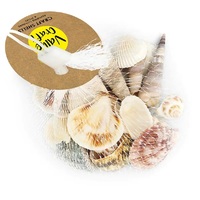 Assorted Natural Style Shells 100g mix