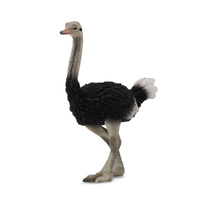 CollectA Ostrich - 9cm Replica