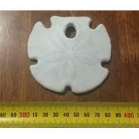 Arrowhead Sand Dollar