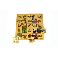 Animal Skin Matching Puzzle Tray